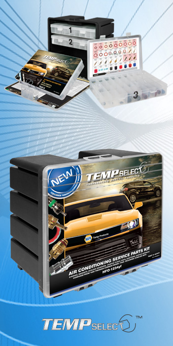 TEM 407817 O-Ring Service Kit